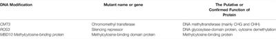 Epigenomics as Potential Tools for Enhancing Magnitude of Breeding Approaches for Developing Climate Resilient Chickpea